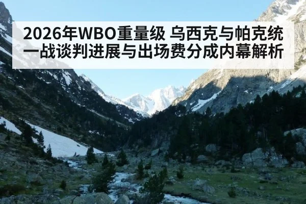2026年WBO重量级 乌西克与帕克统一战谈判进展与出场费分成内幕解析